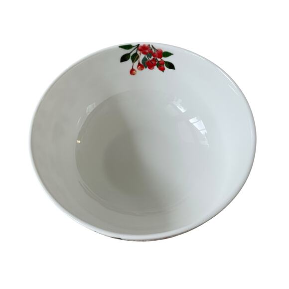 MIKASA Cardinal Leaves Porcelain Bowl 6in Set of 4 All Purpose NEW - Picture 6 of 10